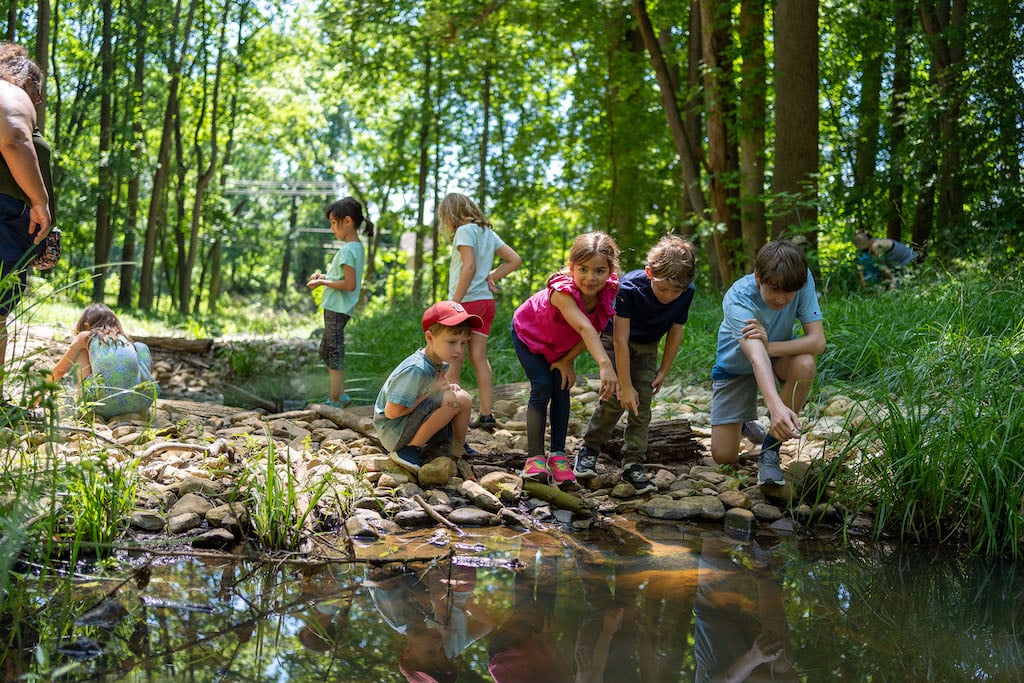 Baird Creek Summer Camp 1
