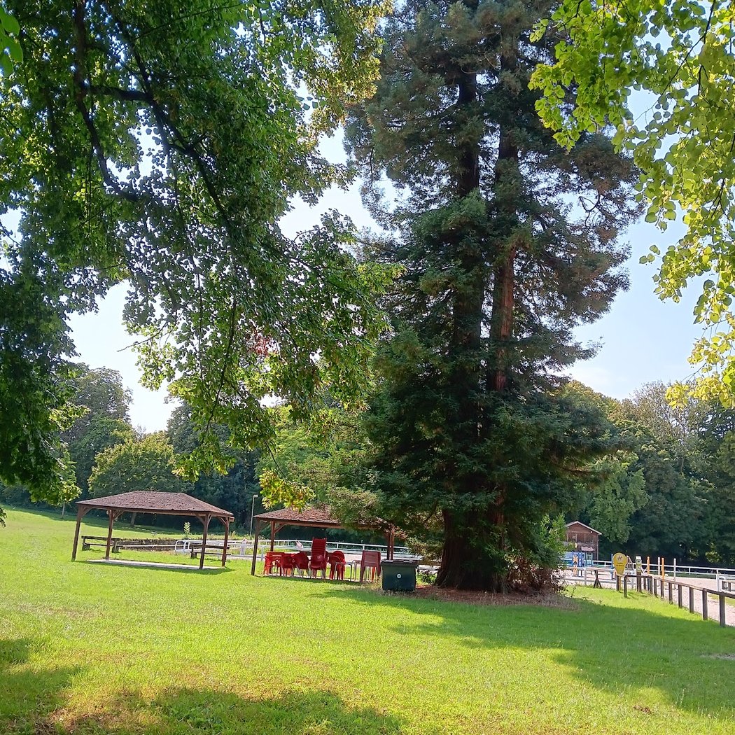 BOIS-LE-ROI UCPA 1
