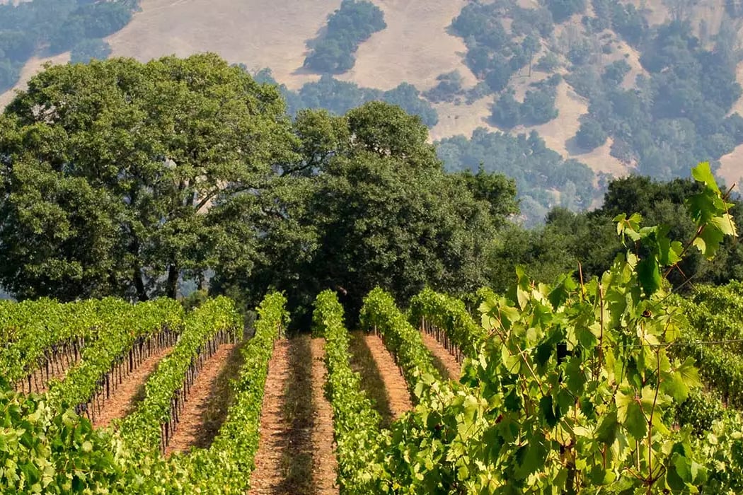 Three Valley Wine Dinner Series 2