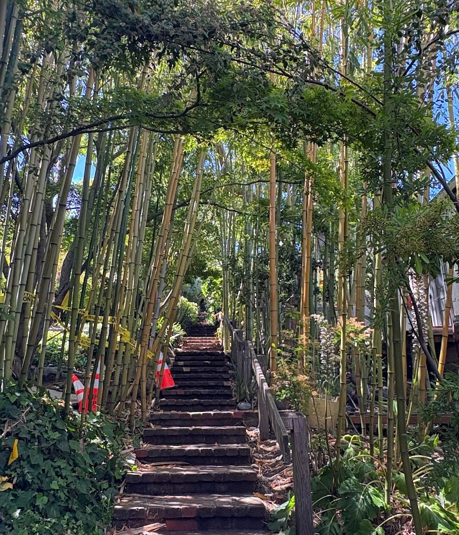Mill Valley Steps #49 2