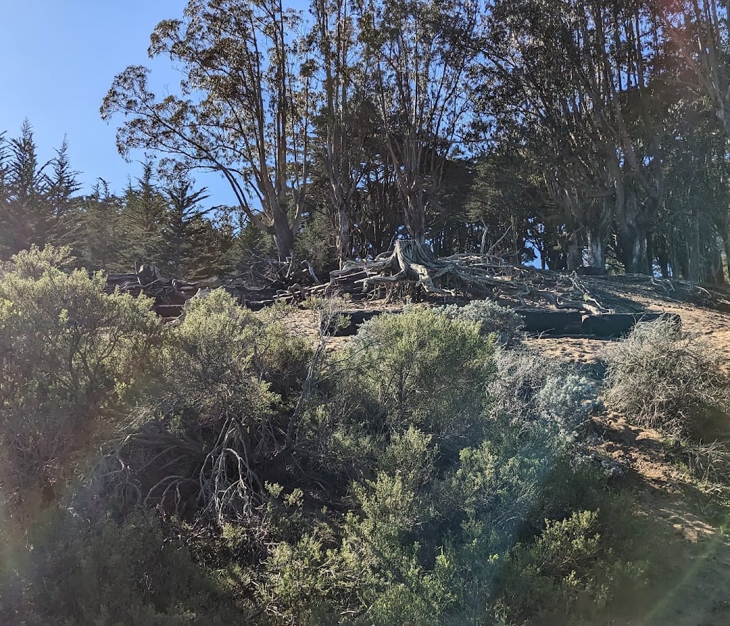 Ecology Trail 3