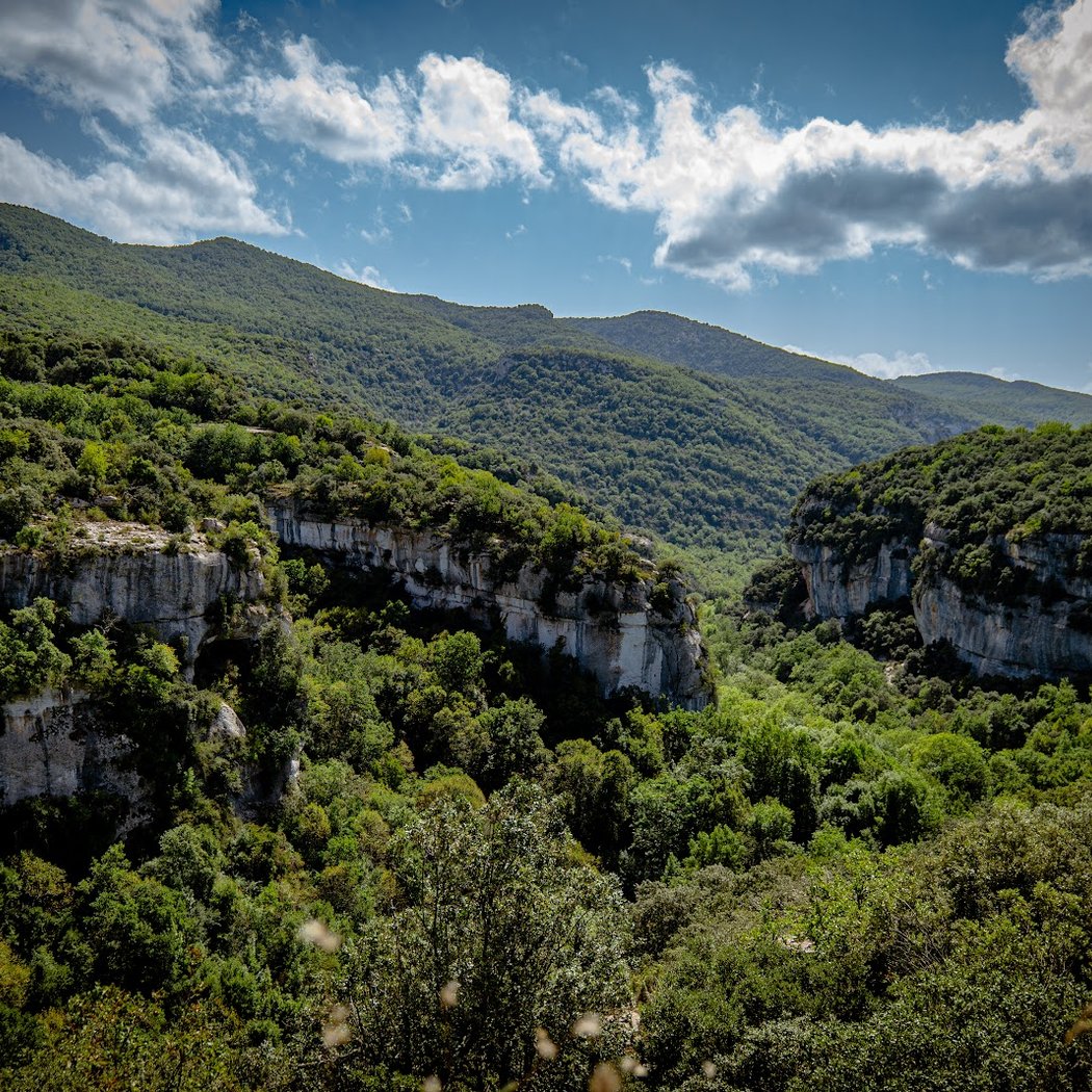 Le vallon de l'Aigue Brun 2