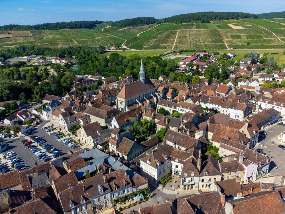 Sentier des Vins et Fromages (Yonne, Aube) 1