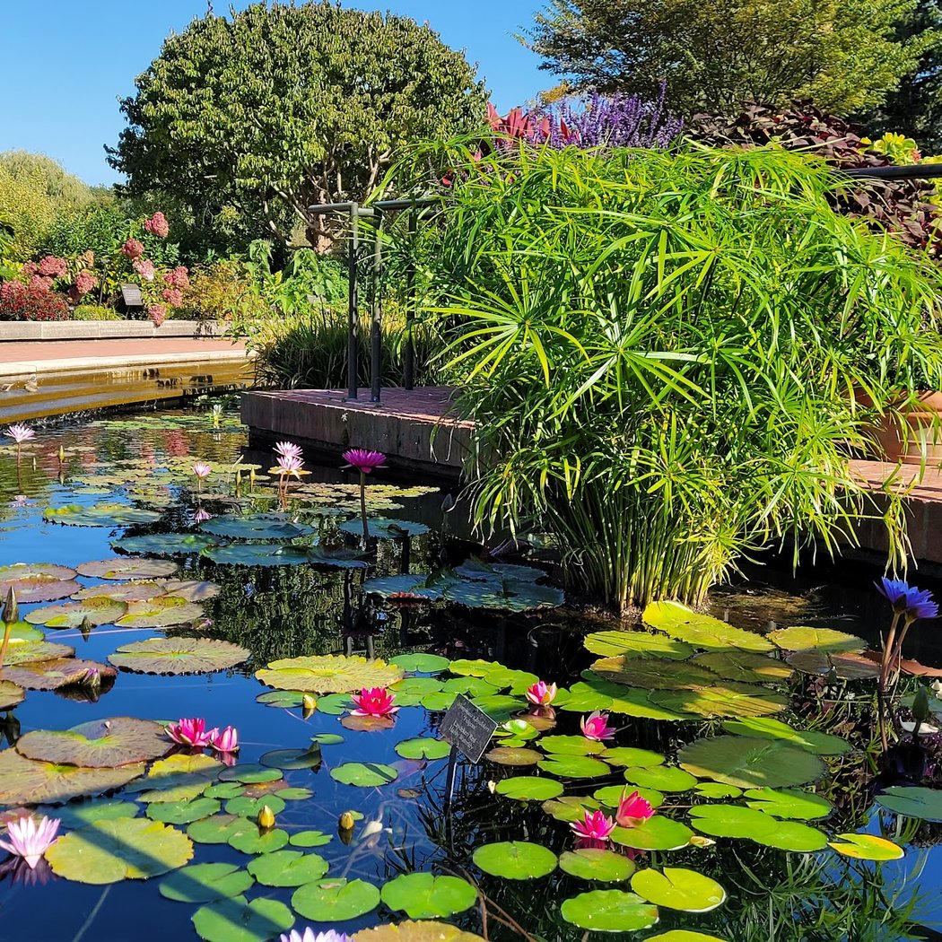 Chicago Botanic Garden 3
