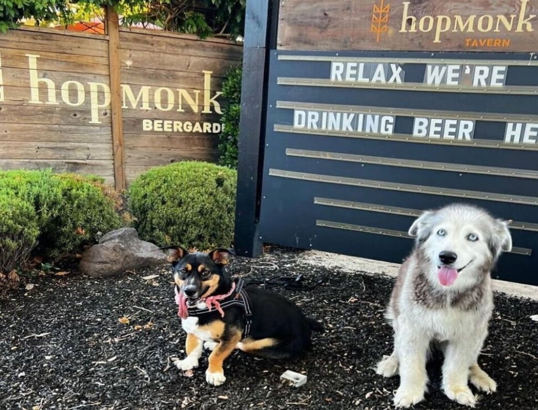 HopMonk Tavern Sonoma 2