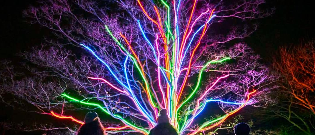Lightscape 2