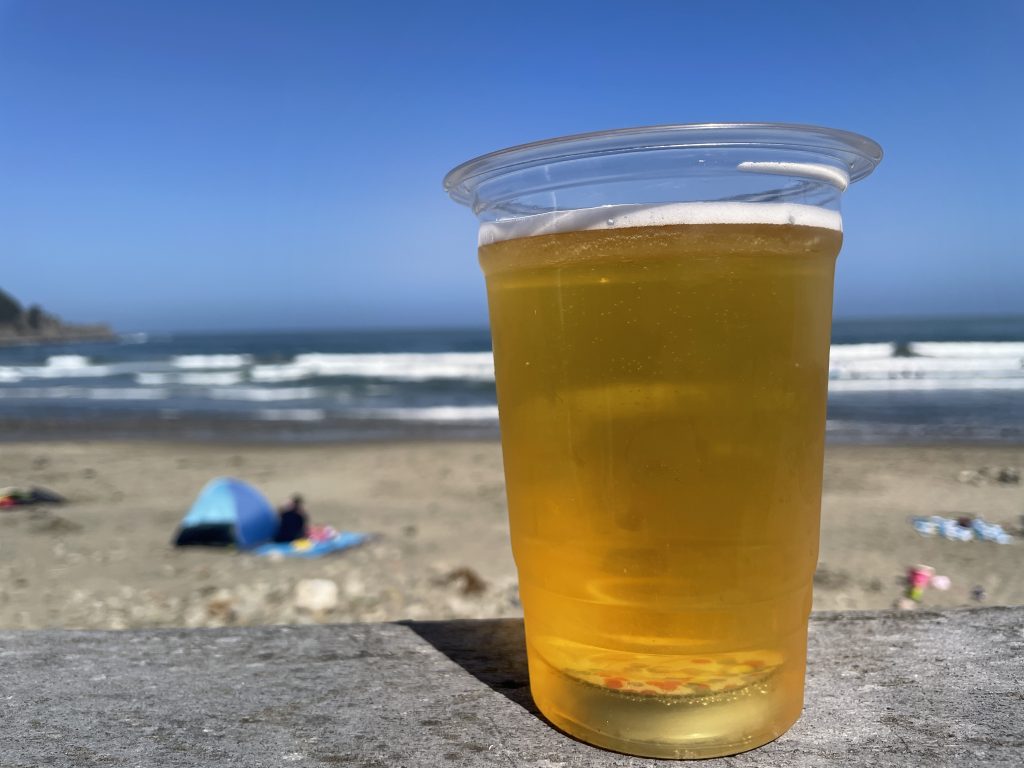 Gray Whale Cove State Beach 2