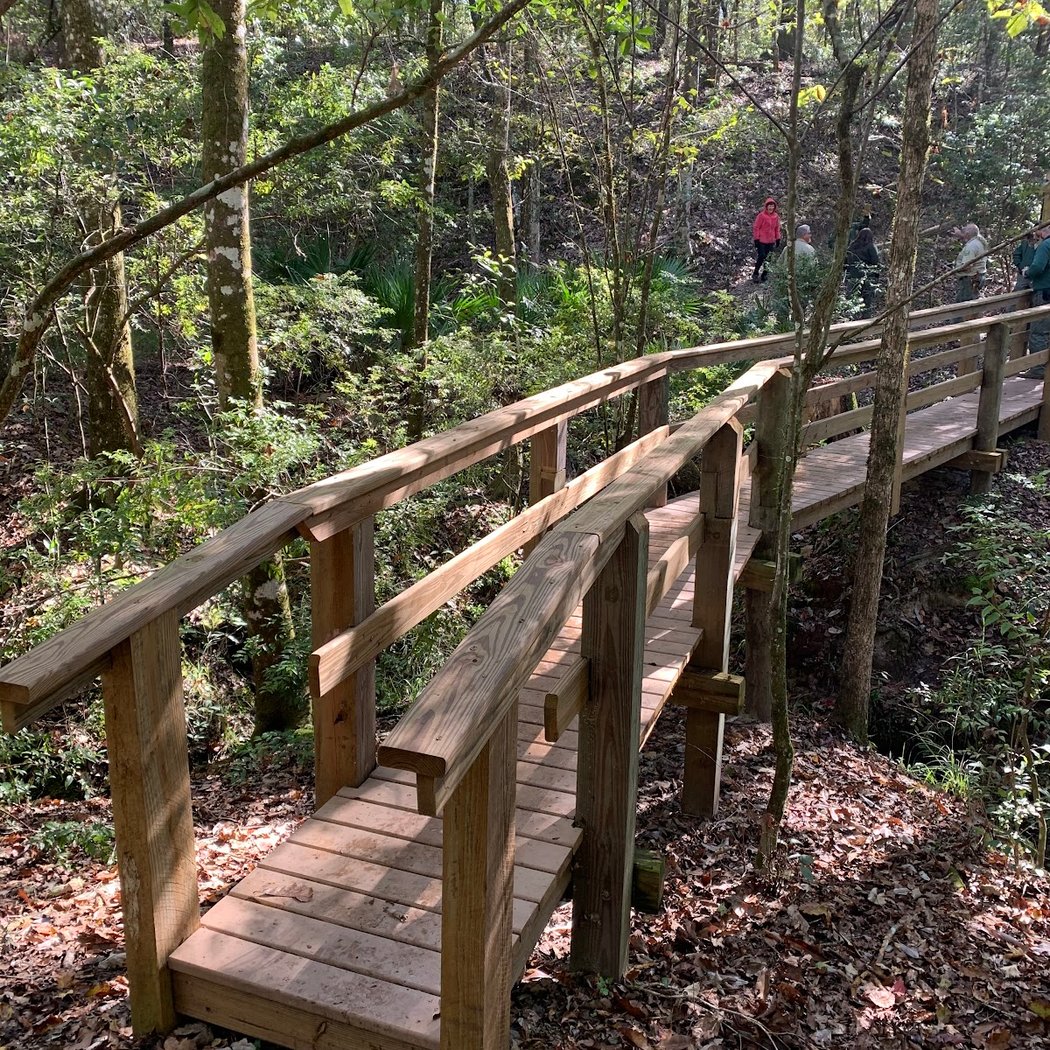 Jennings State Forest 2