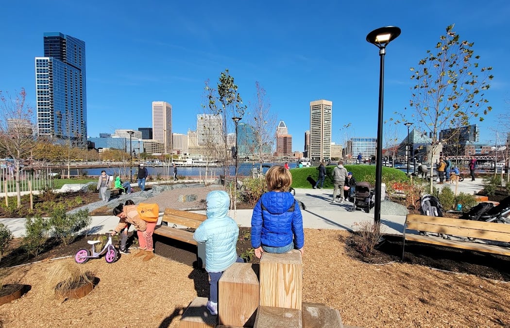 Waterfront Wellness: Rising Vibes Yoga 3