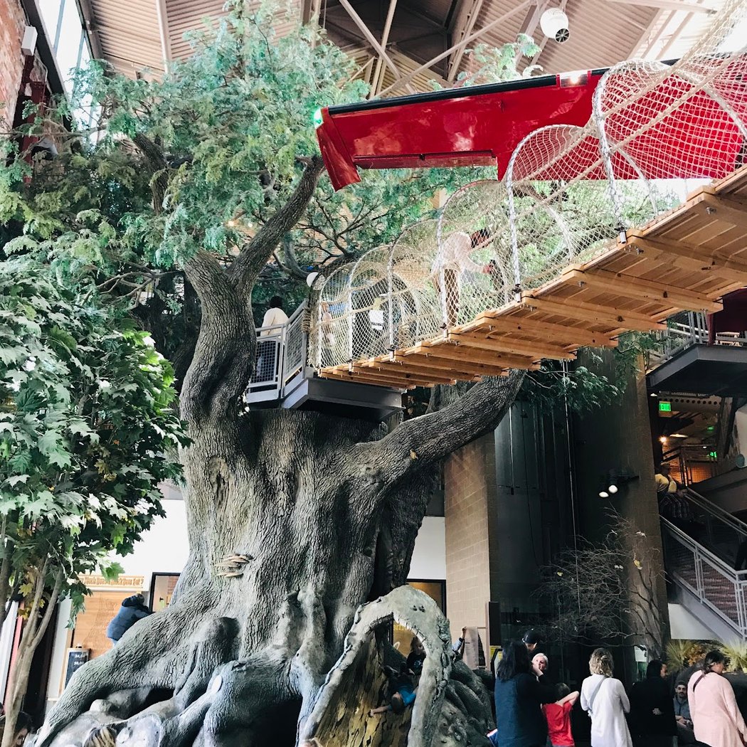 Outdoor Adventure Center 1