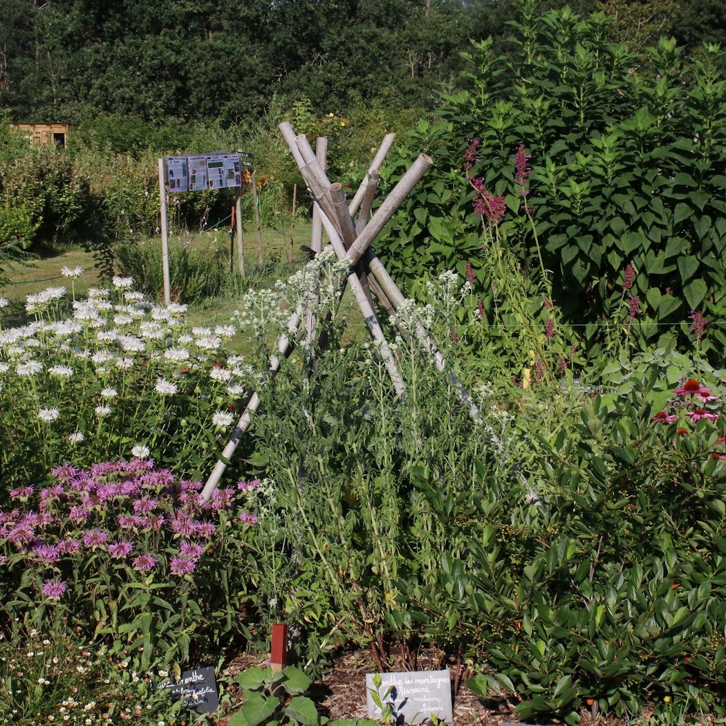 Les Jardins de l'humanité, jardin-ferme pédagogique 2