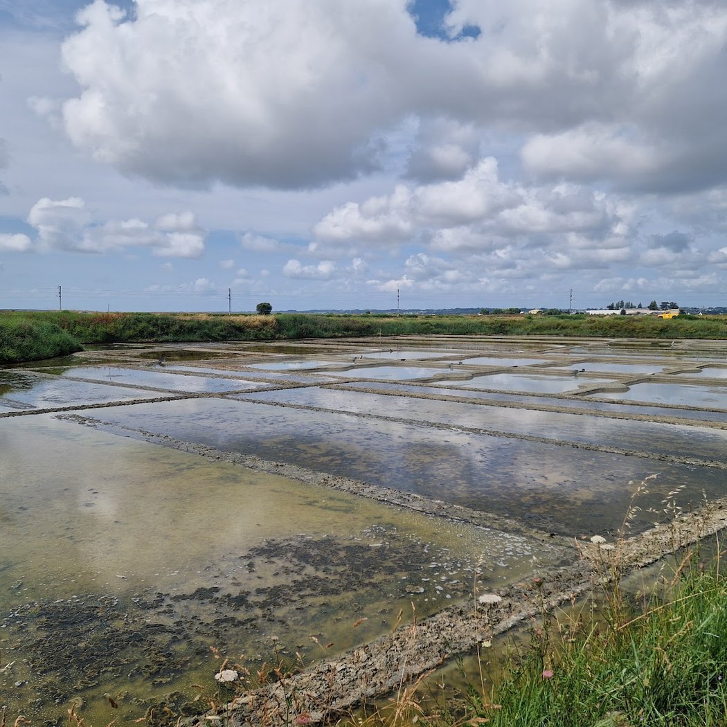 Marais salants 2