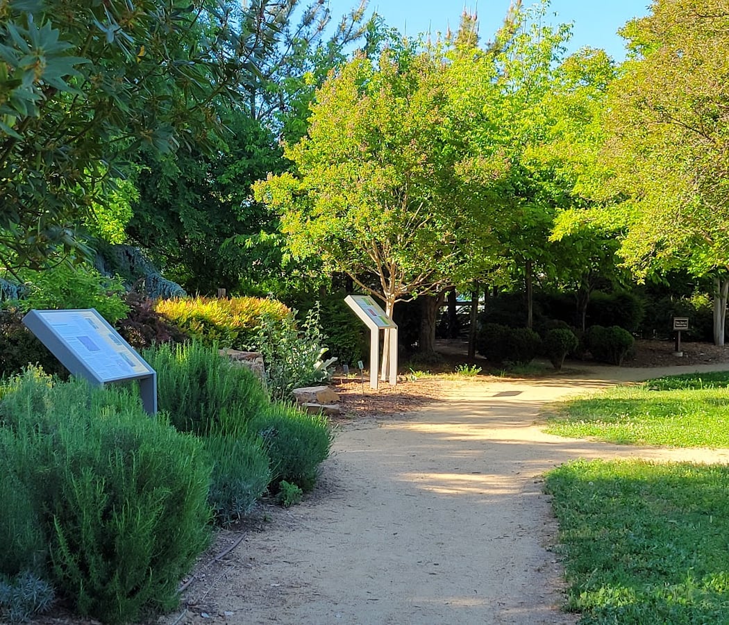 Markham Nature Area 1