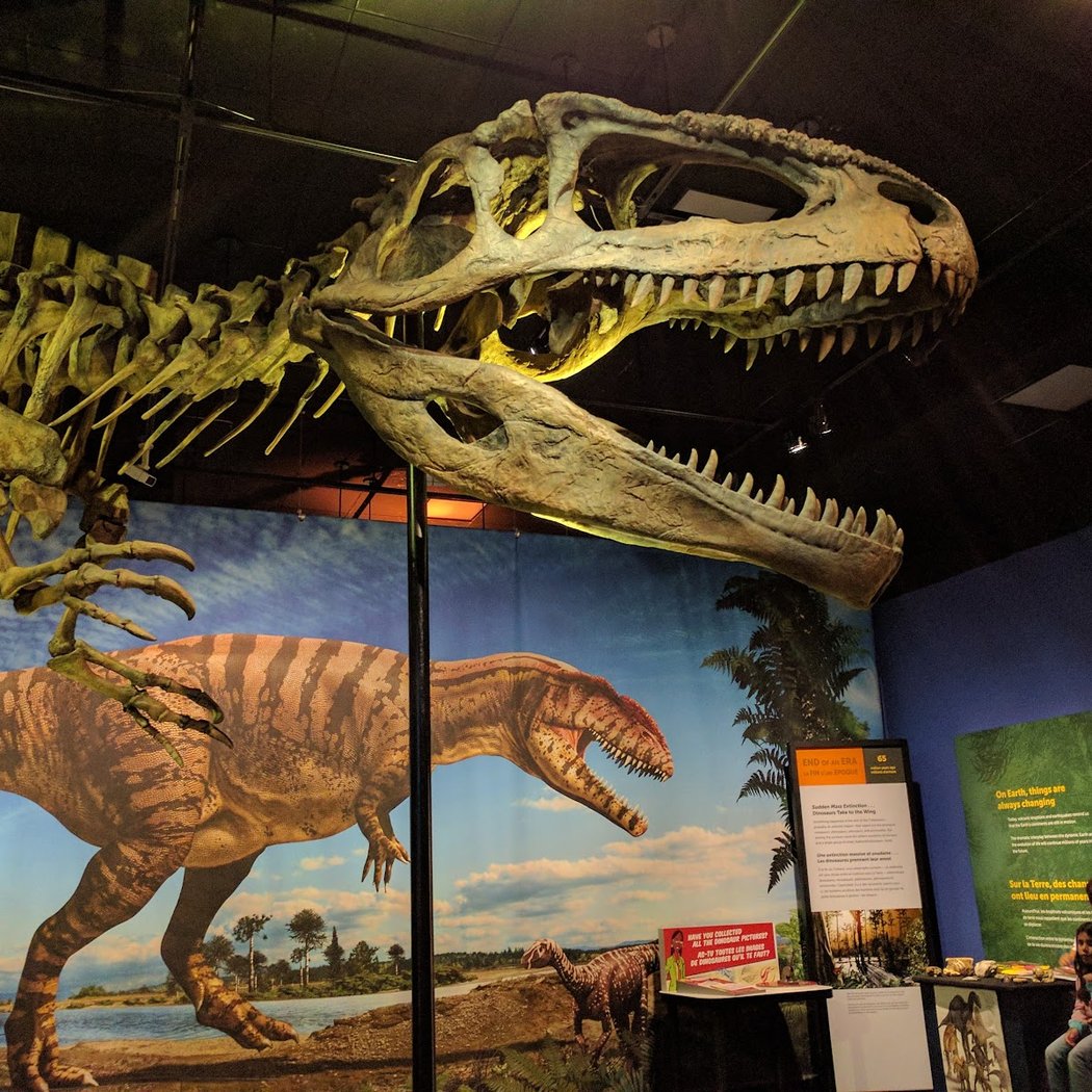 San Diego Natural History Museum 1