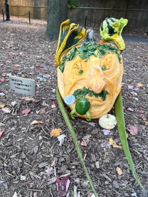 Pumpkin Carving Contest 3