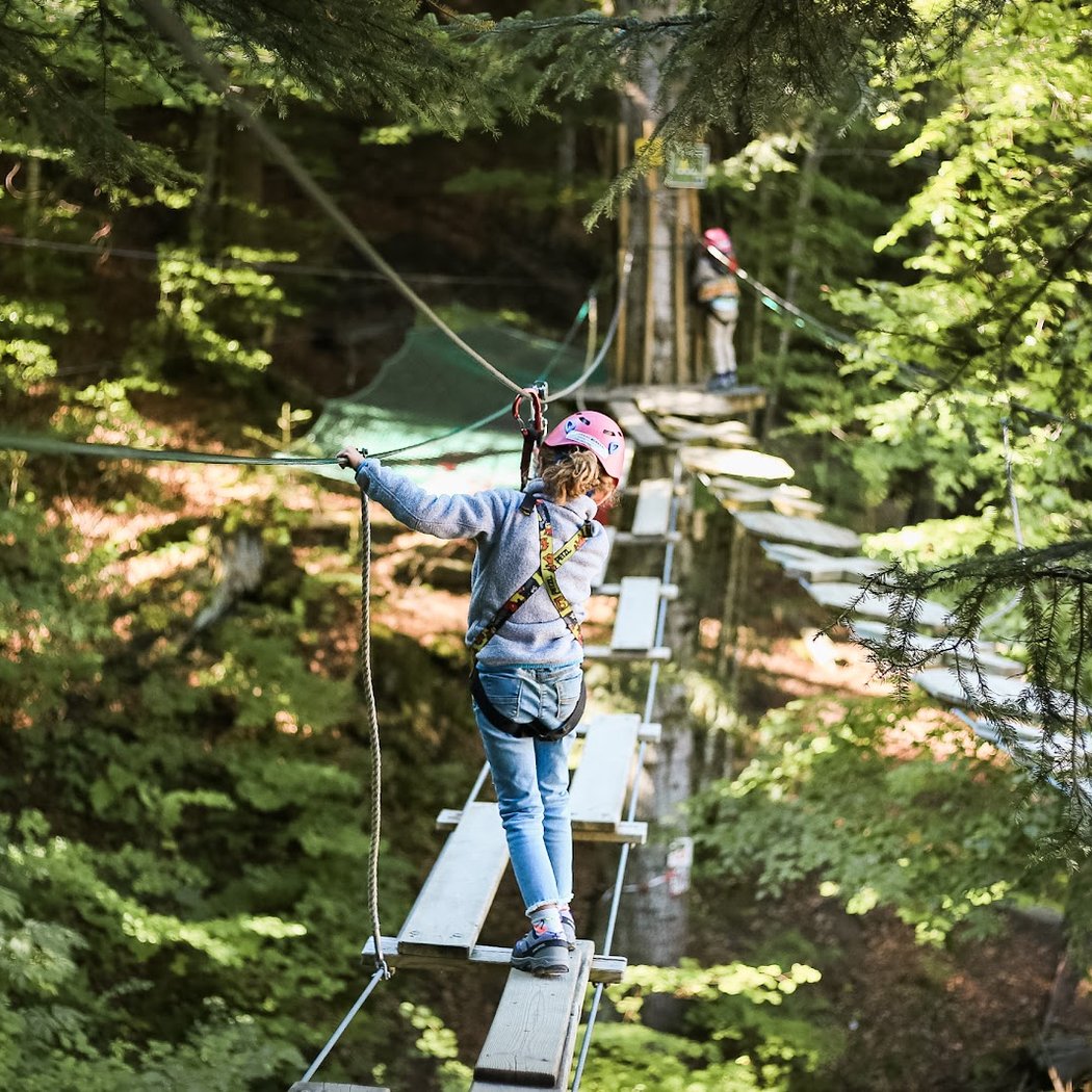 Parcours Aventure La foret des dodes 1