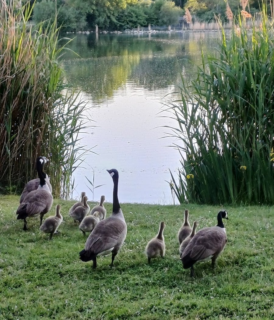 Parc de L’Isle-Adam 2