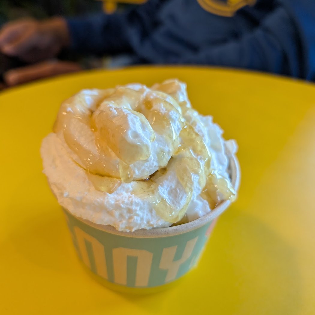 The Penny Ice Creamery | Town & Country Village 3