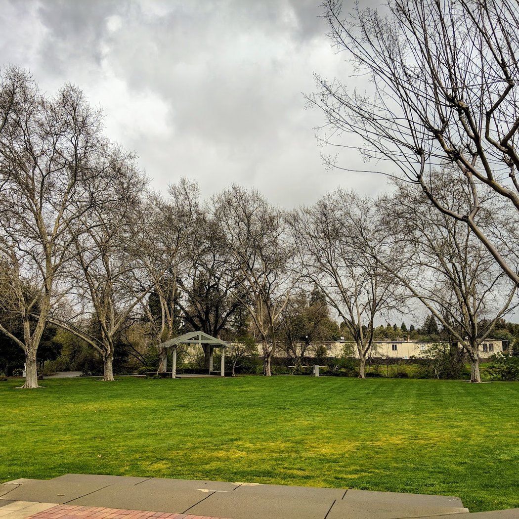 Town Green 2