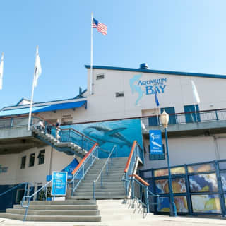 Aquarium of the Bay 2