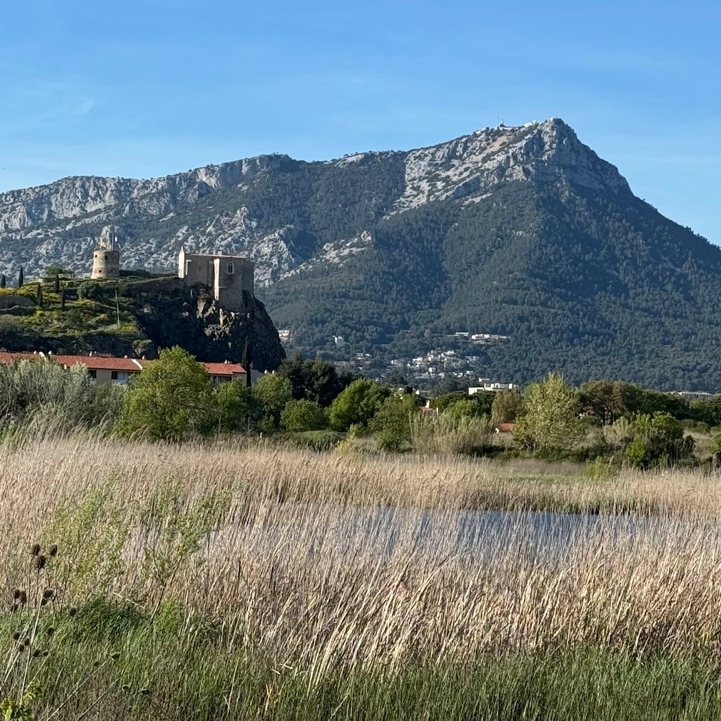 Maison Départementale de la Nature du Plan 3