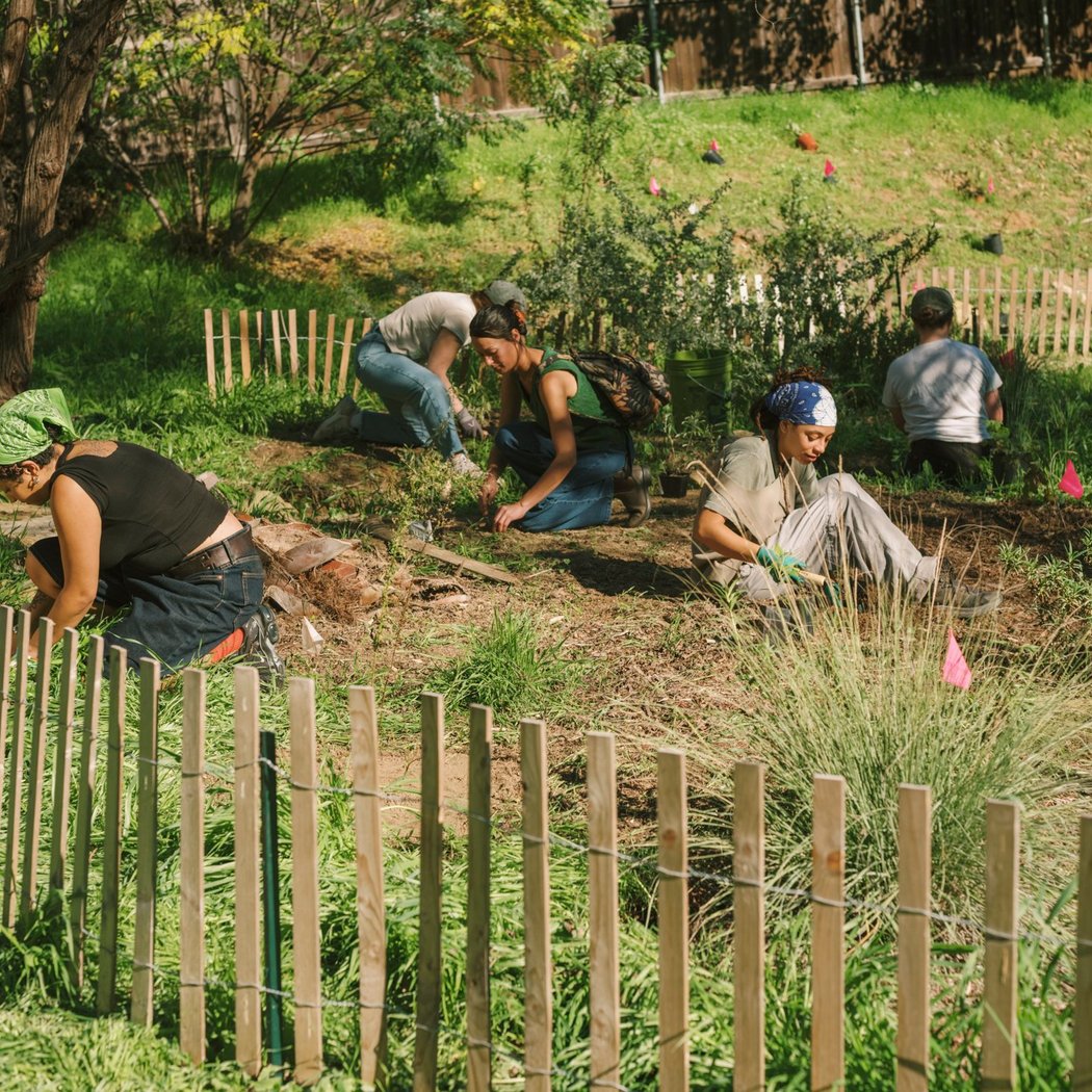 Test Plot Community Workday 2