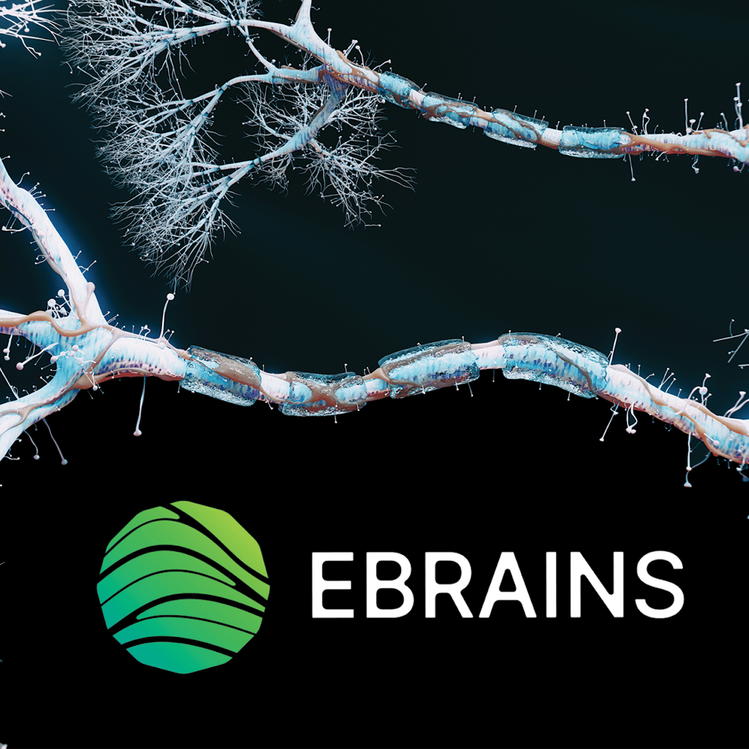 EBRAINS AISBL 1