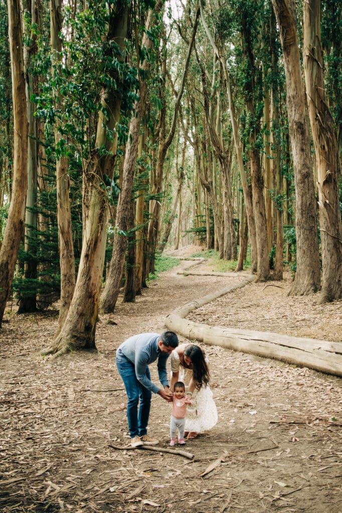Lovers’ Lane at the Presidio 3