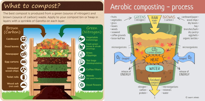 Backyard Composting 101 2