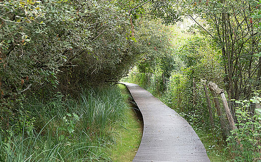 Ecopark of Chènevièvres 1