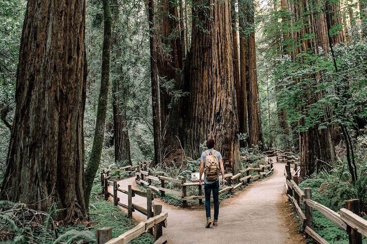 Muir Woods & Sausalito Shuttle: Small Group Experience  1