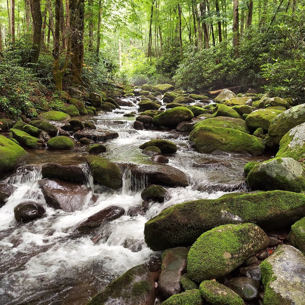 Great Smoky Mountains National Park 3