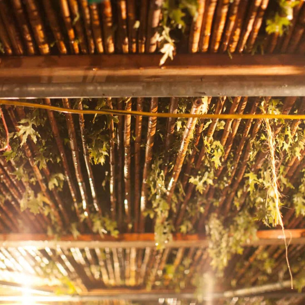 Sukkot Celebrations 1