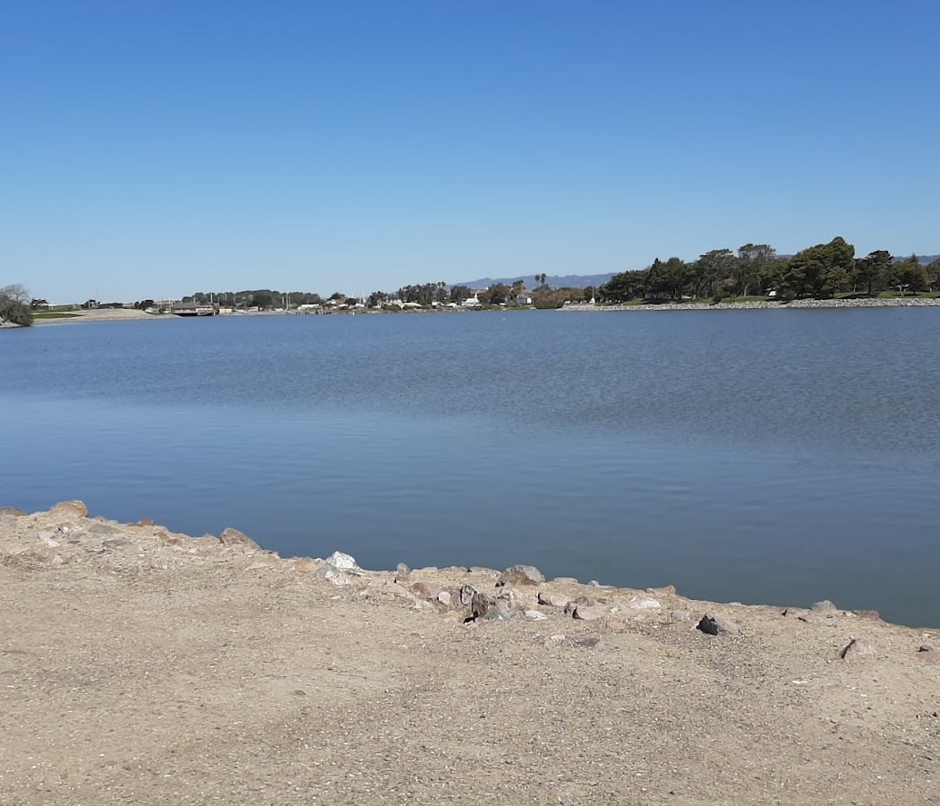 Mallard Picnic Area | Marina Park 2
