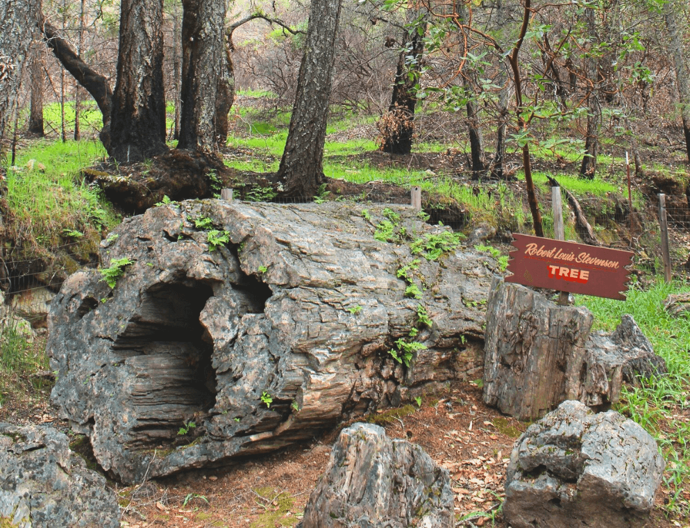 The Petrified Forest 2