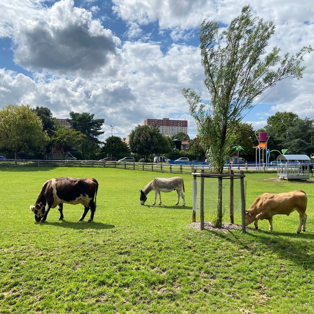 Park 33 Hectares 1