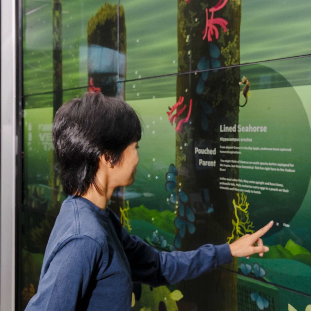 Guided Gallery 1