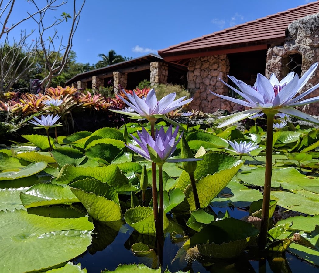 Dade Chapter Florida Native Plant Society 1