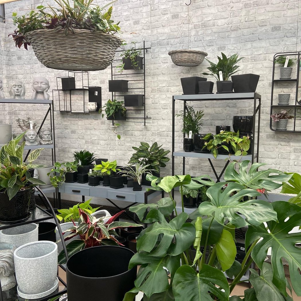 Fall Outing at Atlantic Nursery 1