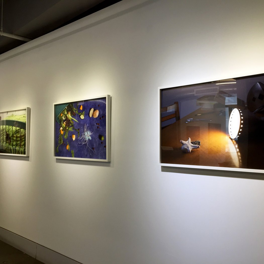 Exhibition #15 2