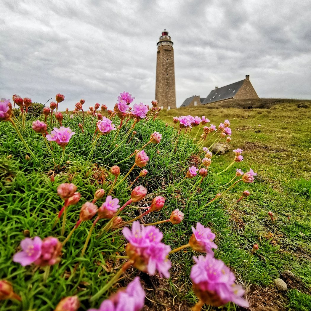 Le Cap Lévi 1