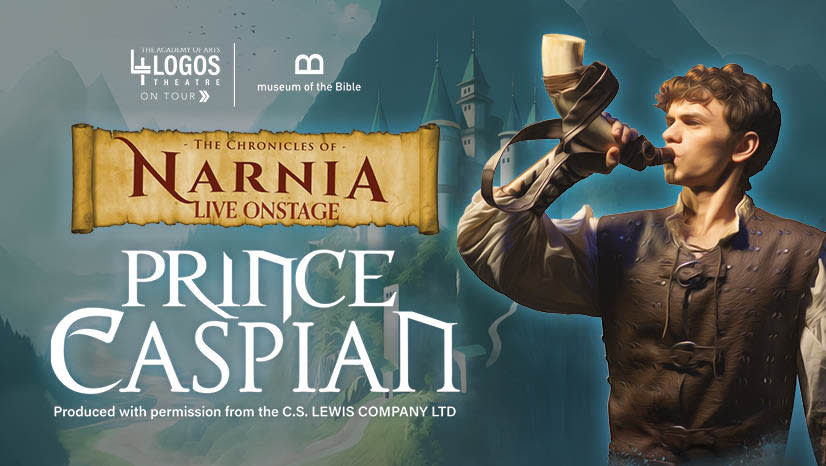 Prince Caspian Live onstage 3