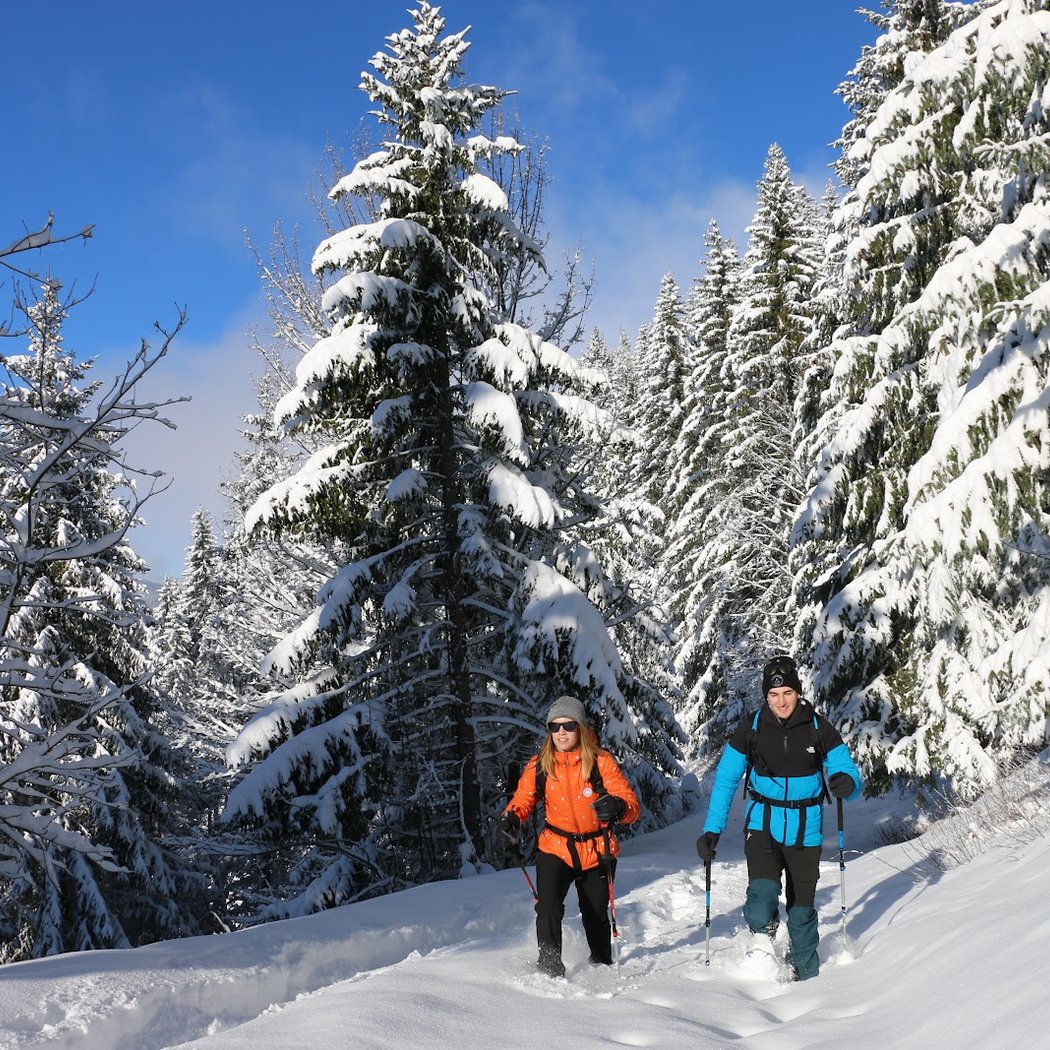 Randonnées Raquettes Saint-Lary 1