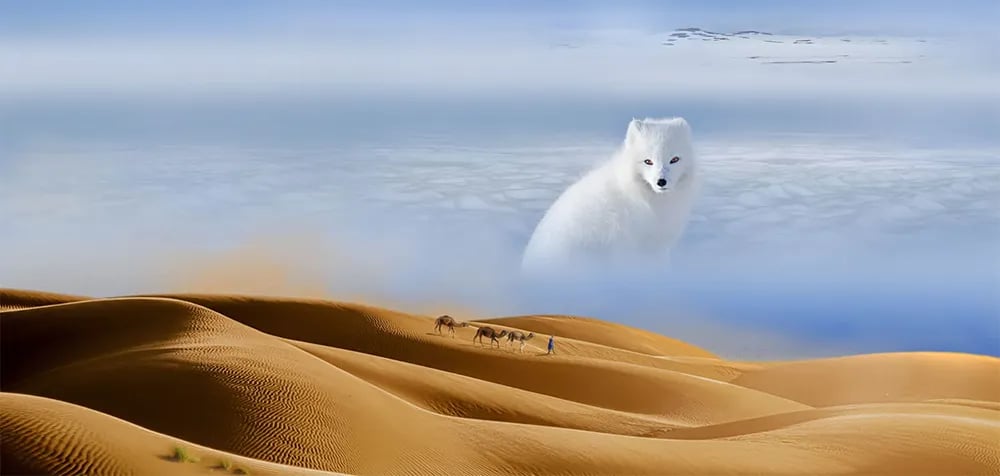 Desert Environments Exhibition 1