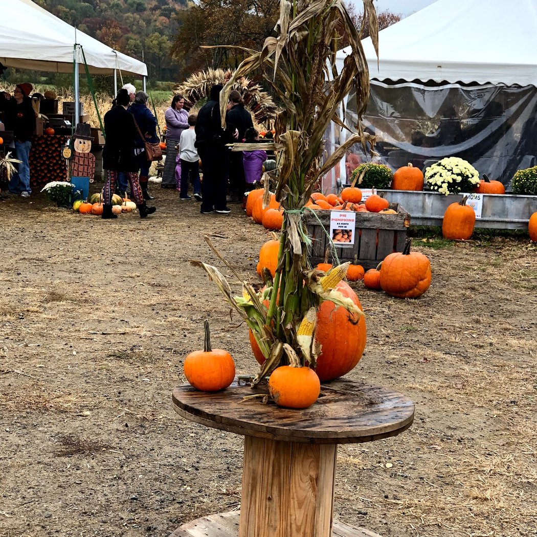 Dykeman Farm 1