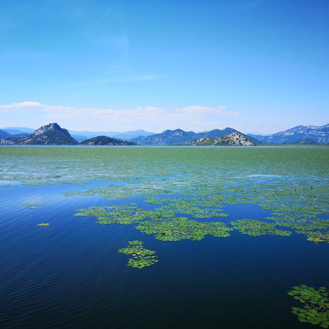 Shkodra Lake 3