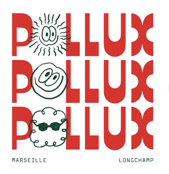 POLLUX - cafés de spécialité 2