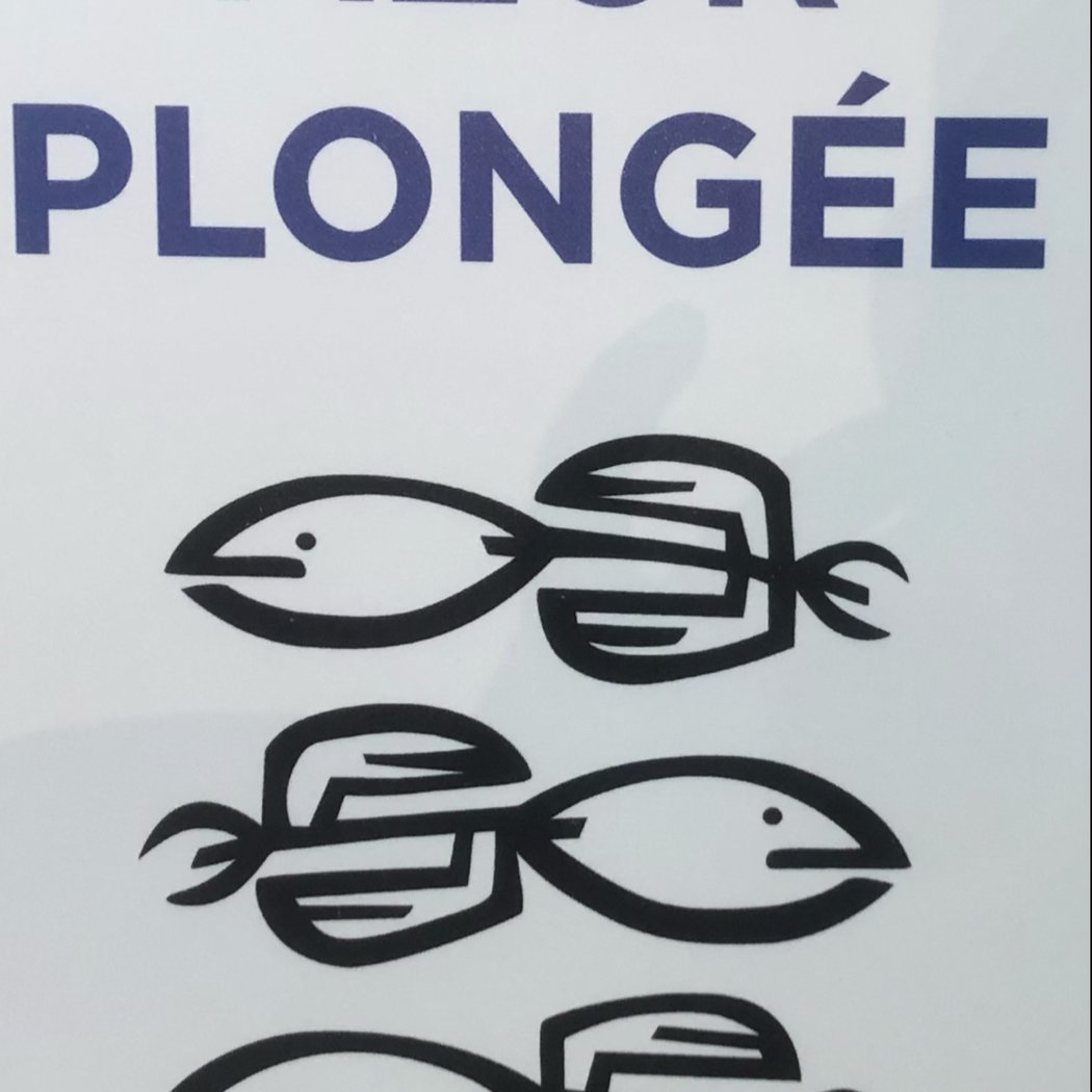 Azur Plongée 2