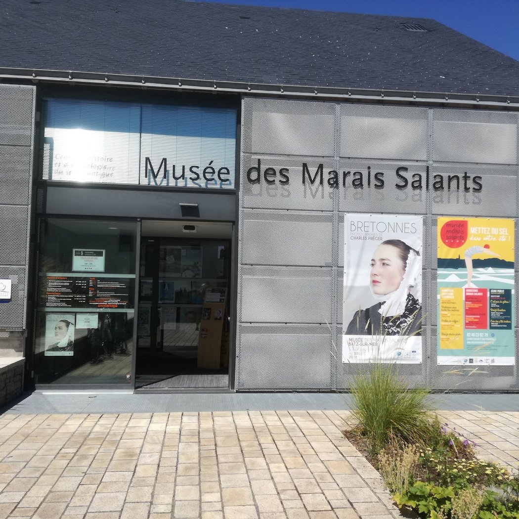 Exposition temporaire - les pouvoirs du sel 4