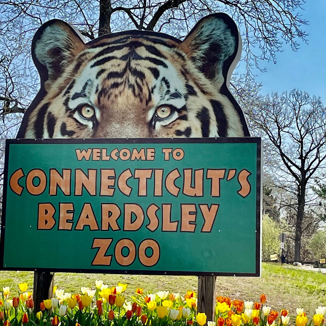 Connecticut's Beardsley Zoo 2